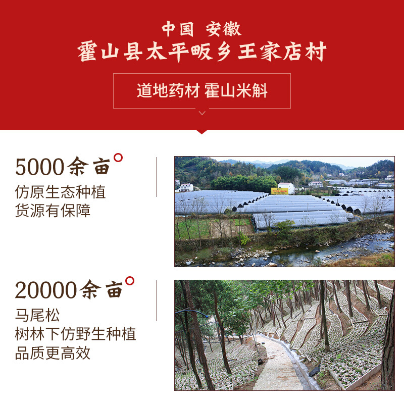 天下泽雨 霍山石斛礼盒装 10g/盒_北京同仁堂网上商城